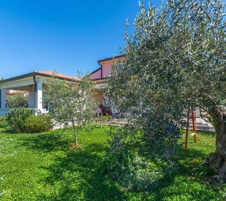 Apartment Liam Novigrad Istria 외부 사진