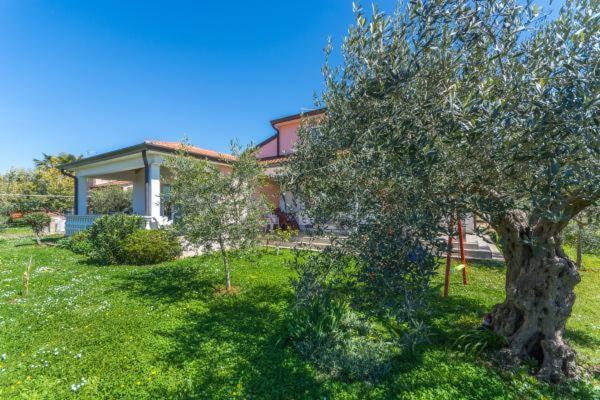 Apartment Liam Novigrad Istria 외부 사진